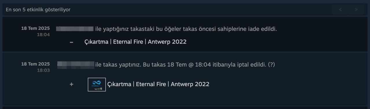 steam görsel