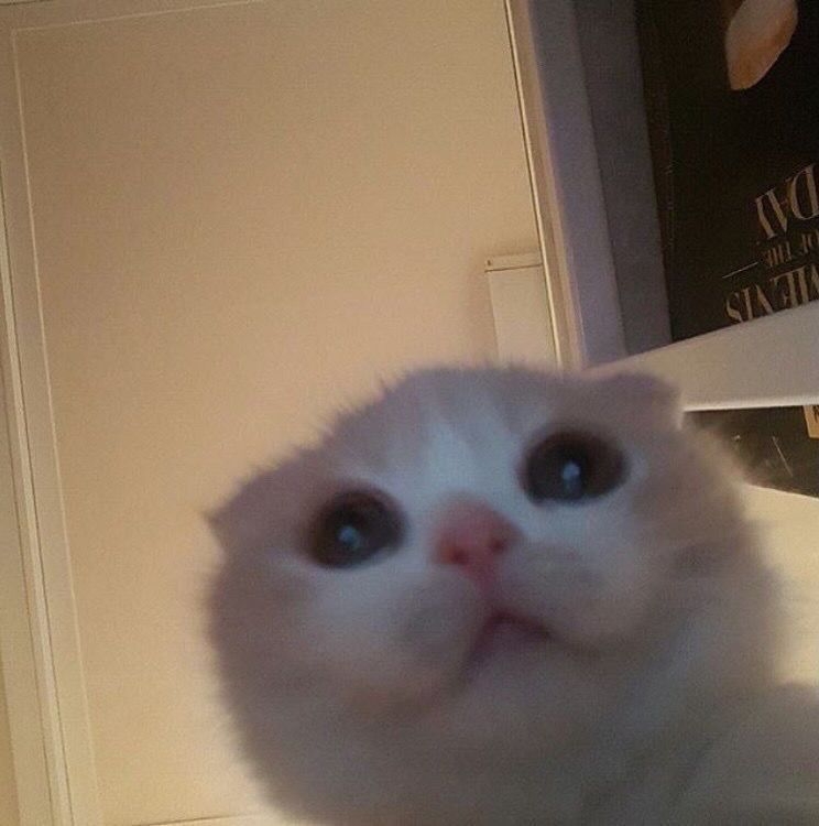 kbdkbd