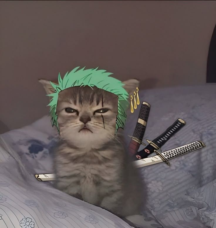 aimzen1tsu Destekle