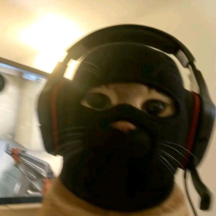 Jwoopa
