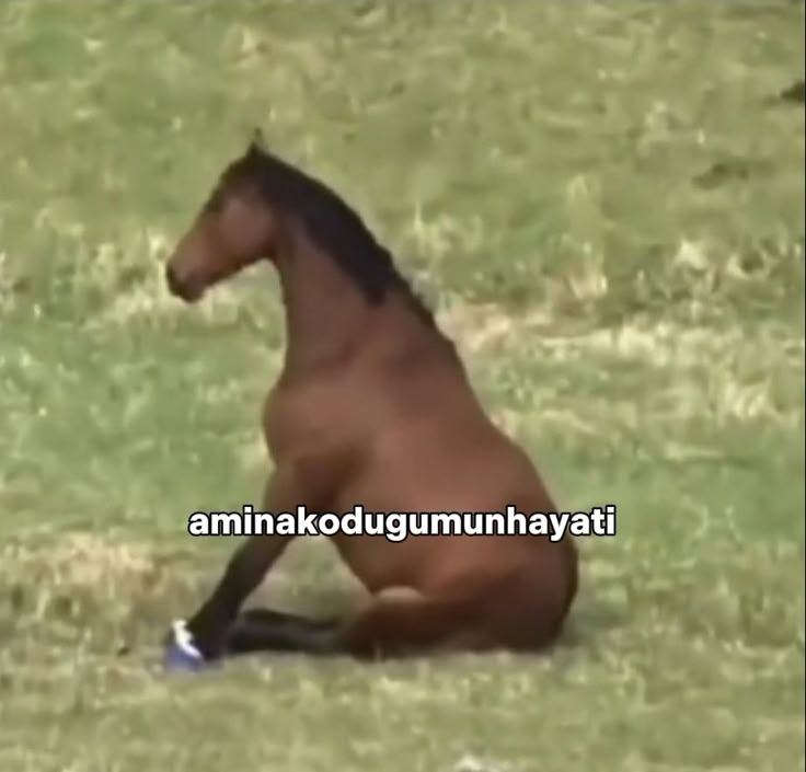 Buse Ürün