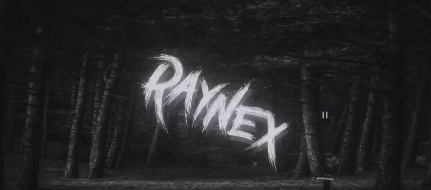 Raynex Destekle