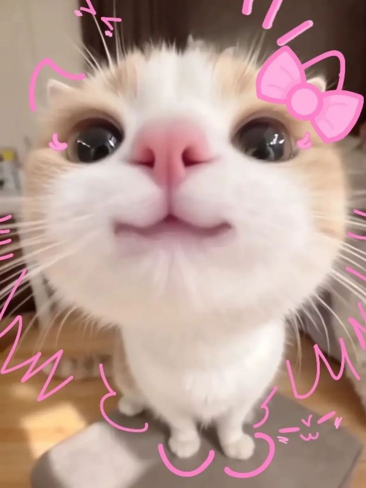 Meriyceynn