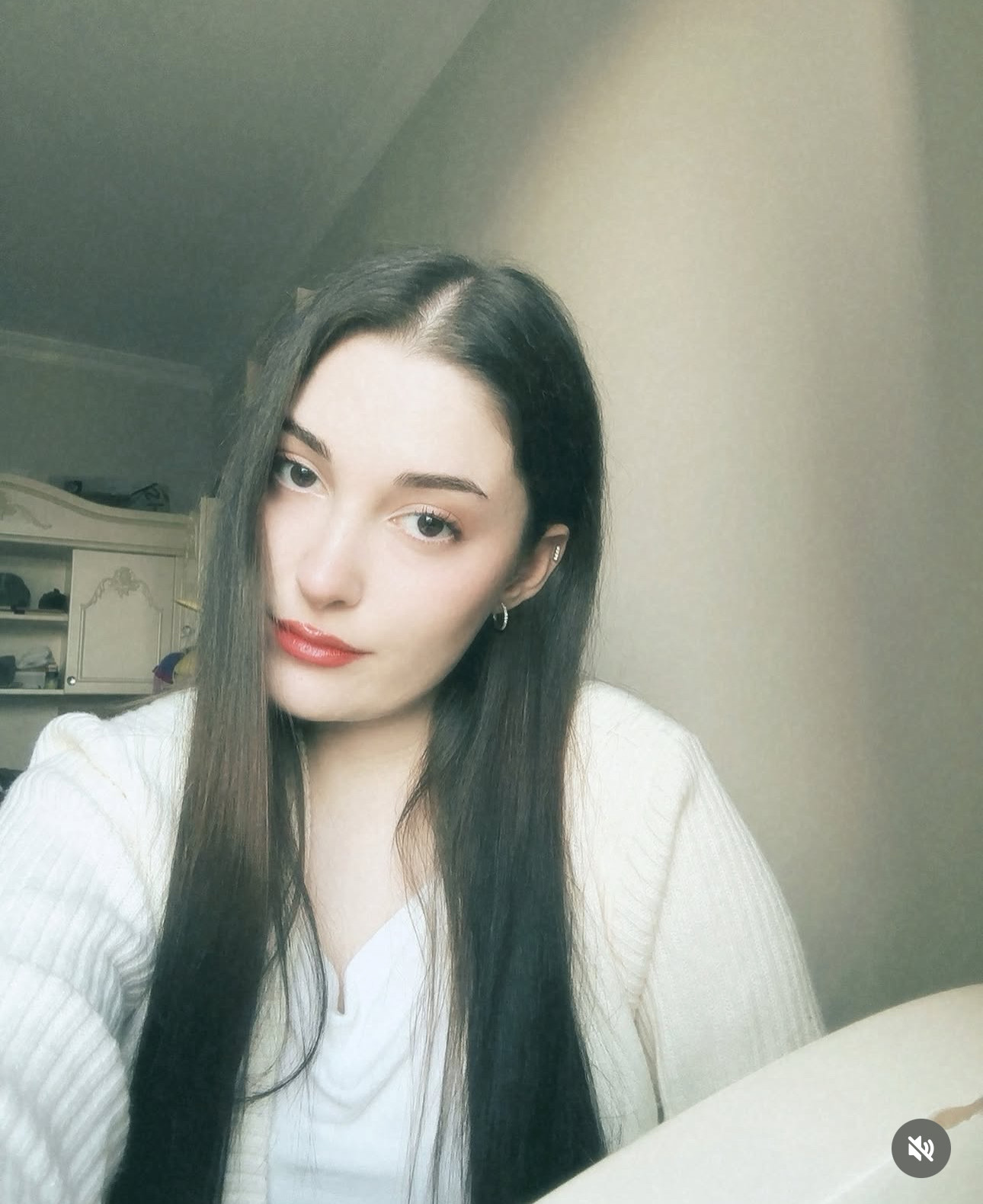 aselinaa Destekle