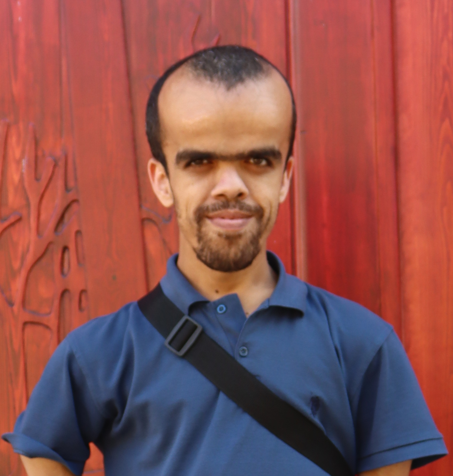 Enis