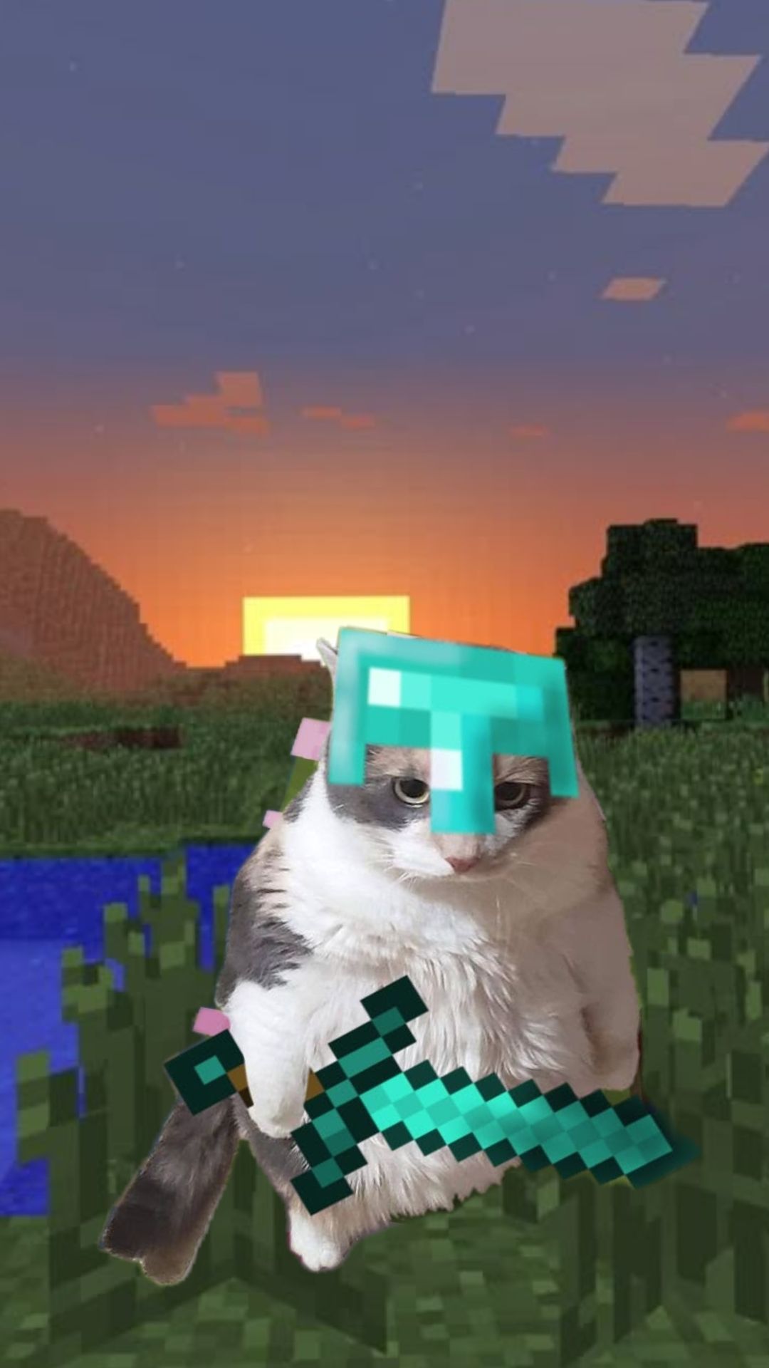 Unrivaledd