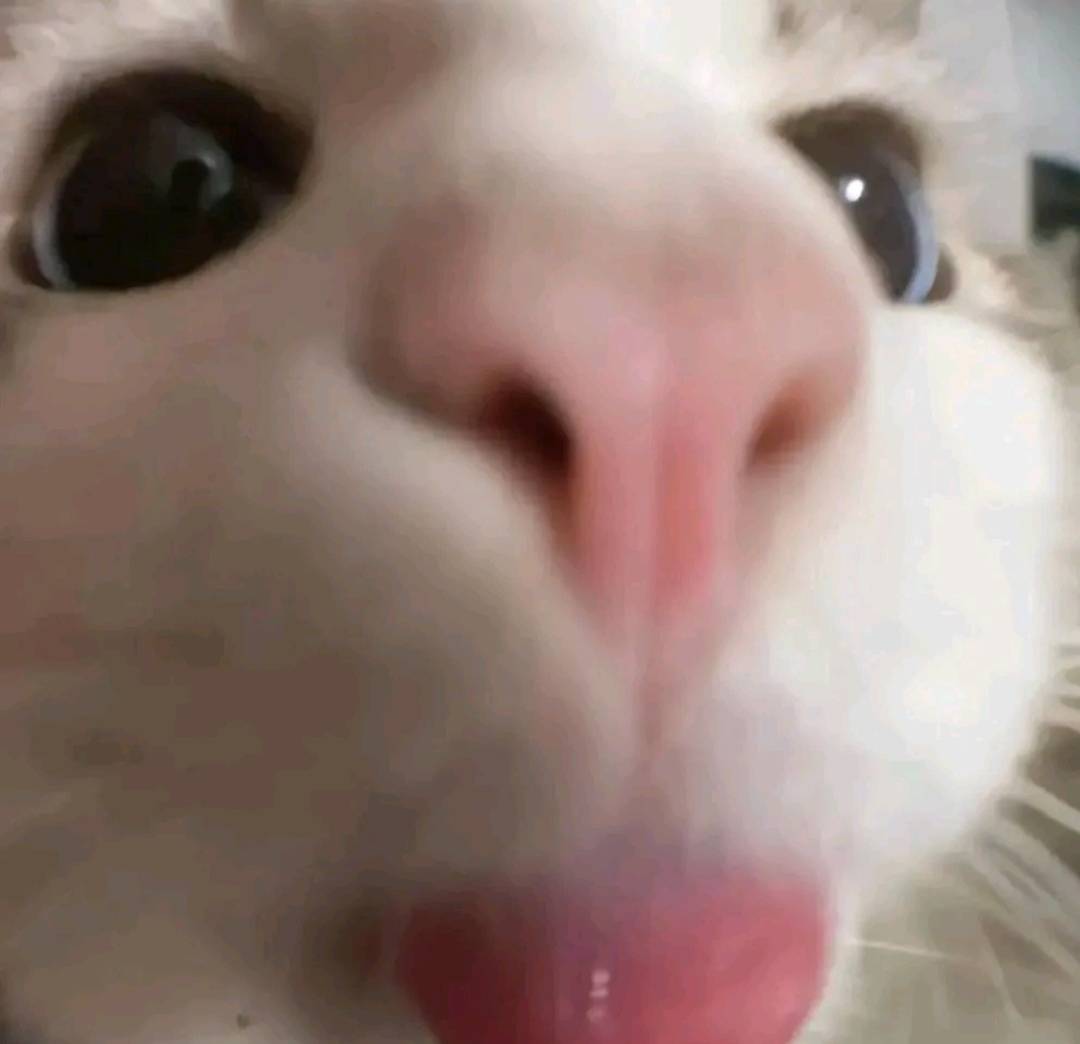 llkatrinall