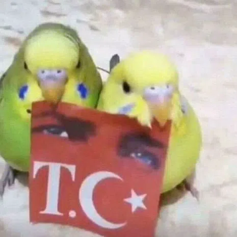 Hürcihan Öztürk
