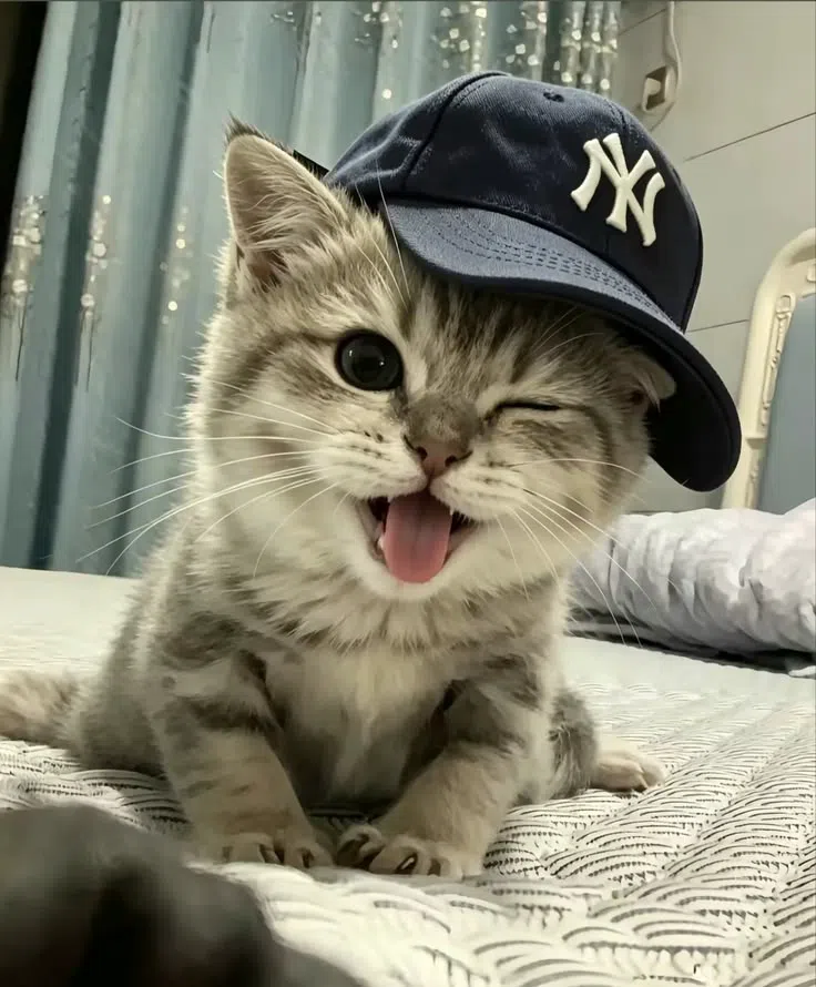 Kiro Destekle