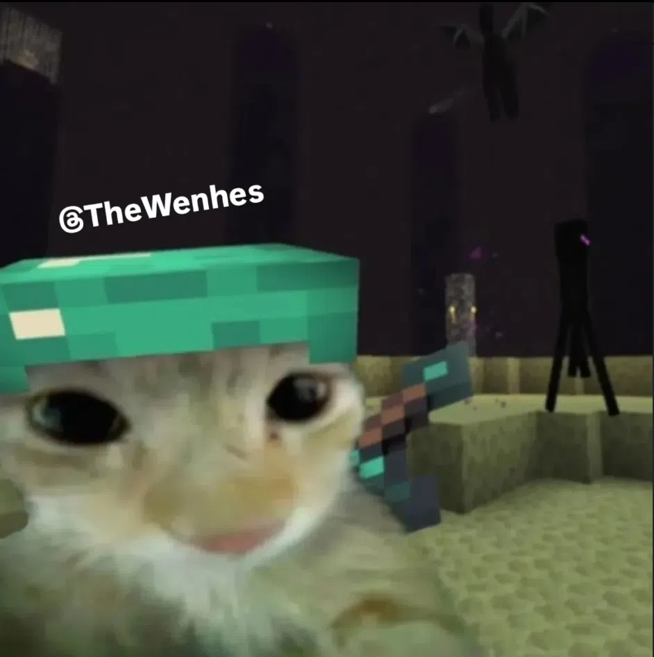 TheWenhes