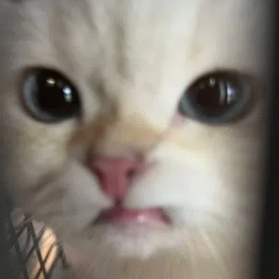Misawhi