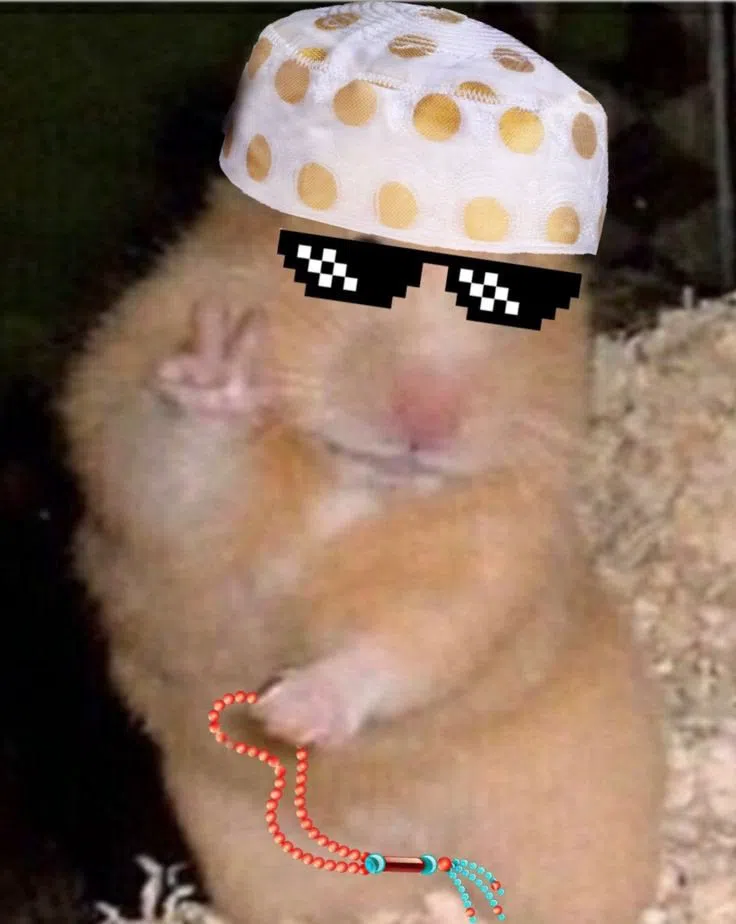 Rozgy