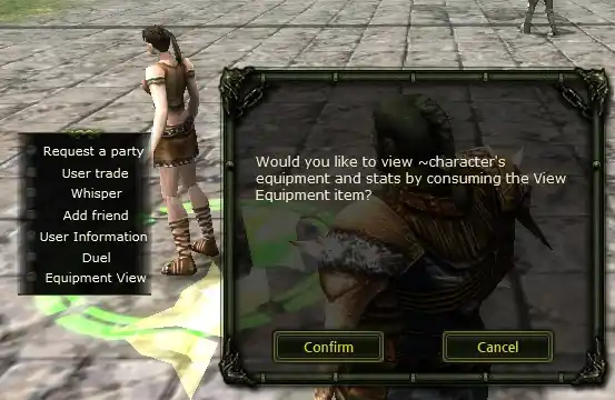 Equipment View interface screenshot