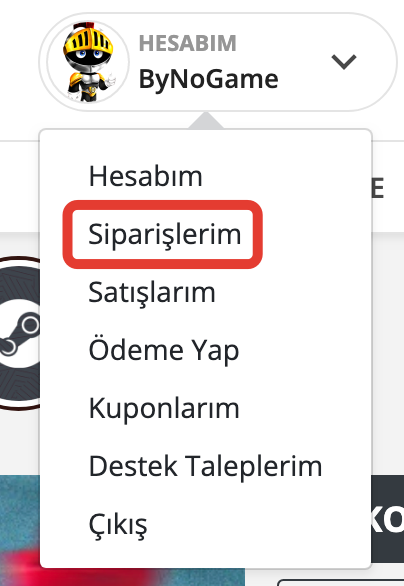 Satın Aldığım Siparişlerimi Nereden Görebilirim?