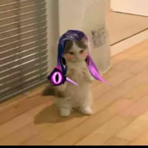 l4fk Destekle
