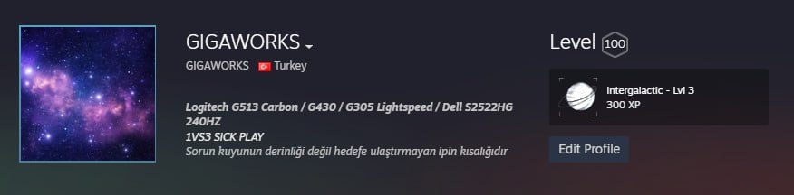 gigaworks