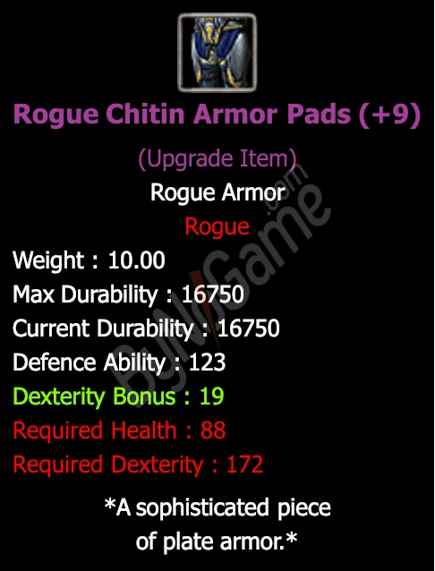 +9 Rogue Chitin Armor Pads