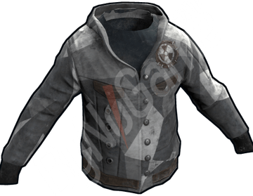 Urban Ice Hoodie