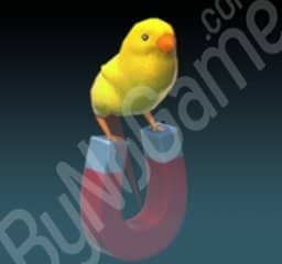 1x Chick Magnet (Civciv Mıknatısı)