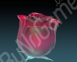 1x Flower-Rose (Çicek-Gül)