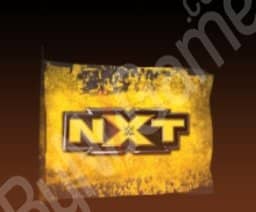 1x WWE NXT