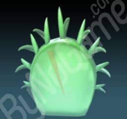 1x Venus Flytrap (Venüs Sinek Kapan Bitkisi)