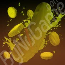 1x Pickle (TurÅŸu)