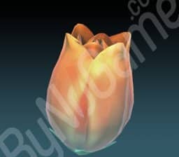 1x Flower-Tulip (Çiçek-Lale)