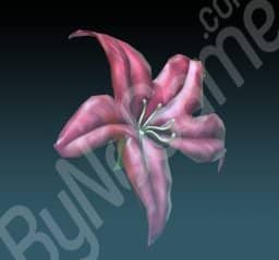 1x Flower-Orchid (Çiçek-Orkide)