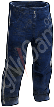 Blue Track Pants