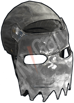 Stainless Facemask