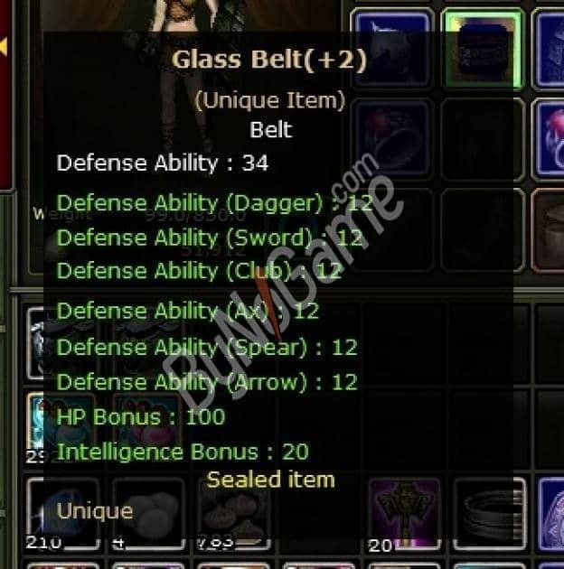 +2 Glass Belt