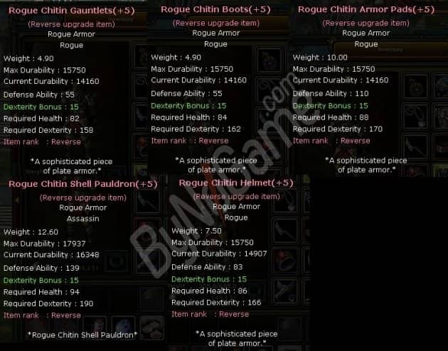 +8 Rogue Chitin set (+5 rev)