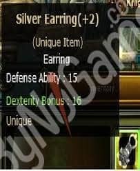 +2 Silver Earring