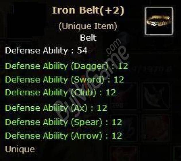 +2 Iron Belt