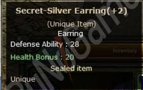 Secret Silver Earring