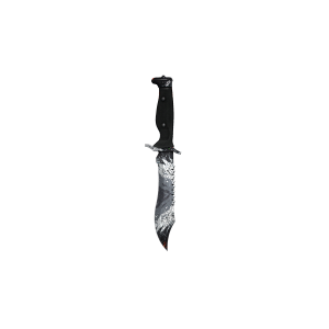 Bowie Knife | Energy II (Field-Tested)