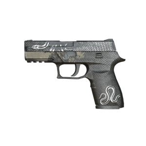 P250 | Jet Python II (Well-Worn)